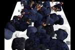 United Asscrew und Fritz Bornstuck, frederic Weigel