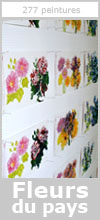 fleurs
